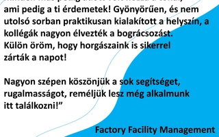 Csapatépítés- Factory Facility